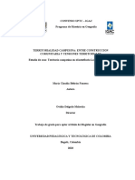 Territorialidad Campesina: Entre Construccion Comunitaria y Tensiones Territoriales