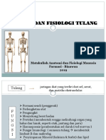 Anfisman Tulang