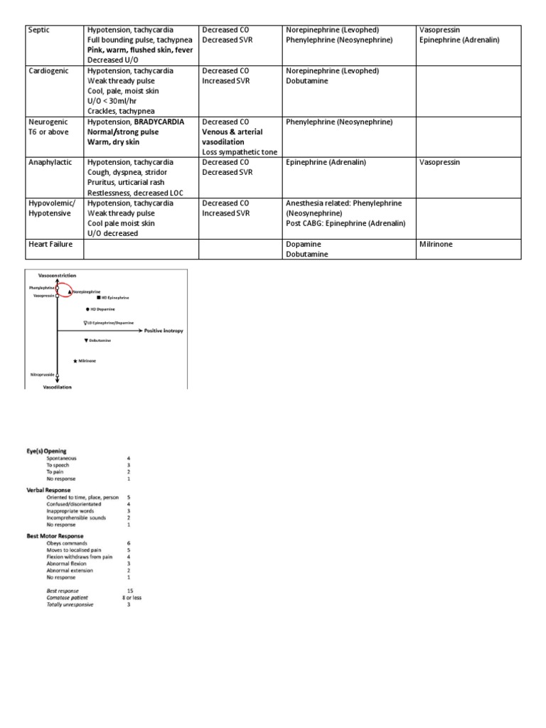 Pink, Warm, Flushed Skin, Fever PDF