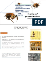 La apicultura: orígenes, productos y habitantes de la colmena