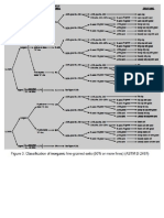 Fine Grained Classification