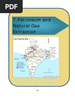 Petroleum and Natural Gas Extraction