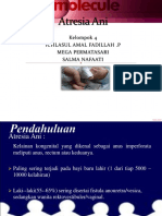 Ppt Atresia Ani WK16