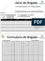 Formato de Brigadas Planilla