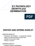 Barley Physiology Growth and Germination