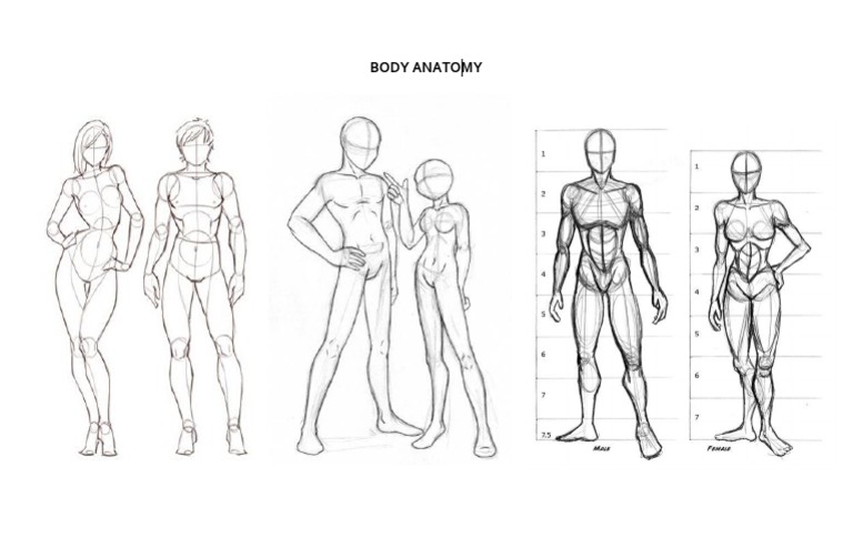 Body Animation | PDF