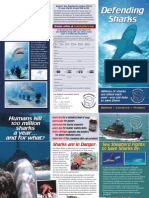 2009 Sea Shepherd Shark Brochure