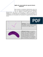 Métodos Restringidos PDF