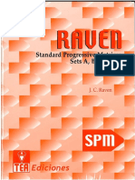 RAVEN Standard Progresive Matriks-General
