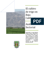 Cultivo de trigo en Baja California: análisis sectorial