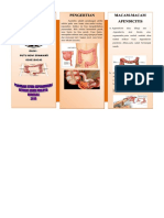 Leaflet Appendicitis PDF