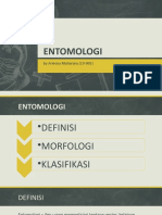 ENTOMOLOGI