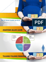 Presentasi - Anatomi Dan Fisiologi Kehamilan