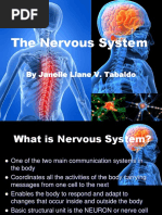 The Nervous System: by Janelle Liane V. Tabaldo