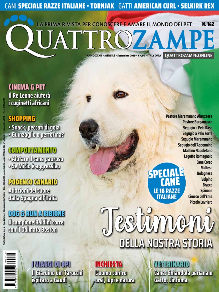 Cirneco dell'Etna - Wikipedia, image size:768x1024