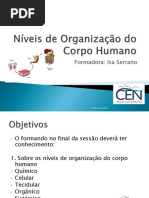 Organização do corpo