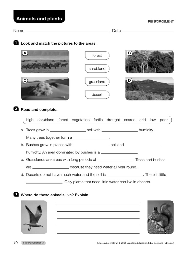 4 Primaria Natural Science ECOSYSTEMS Think Do Learn Arctic Earth
