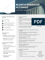 Modern Professional Resume