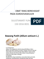 Tanaman Obat Yang Berkhasiat Pada Kardiovaskuler