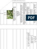 Reconocimiento de Plantas PDF