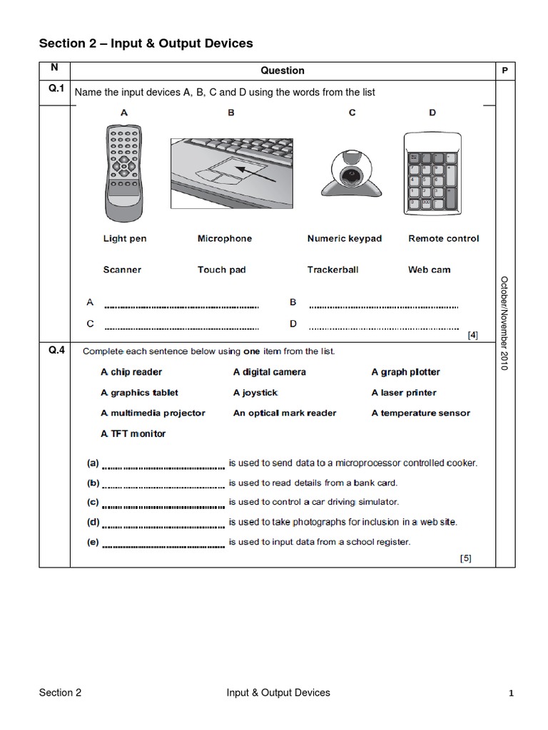 Section 2 Input and Output Devices PDF | PDF | Printer (Computing ...