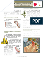 Colesterol y Cigarro PDF