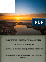 Intro Ps Crminalidad Maestria - Mayo