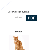 Discriminación Auditiva (Animales)