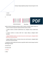 Soal Bio KLP 1 Kelas B