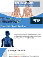 Anterior View of Human Body PowerPoint Templates Widescreen