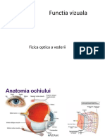 analizator vizual 2017.pdf