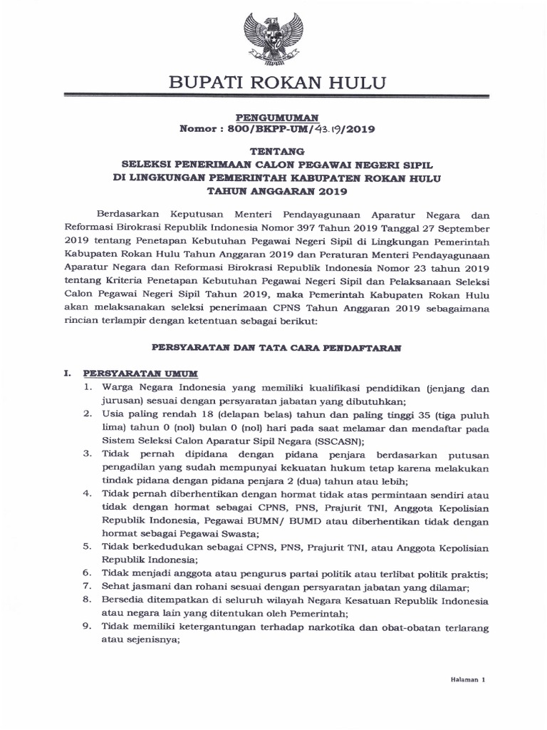 42+ Formasi cpns 2021 rokan hulu ideas in 2021 