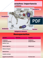 hemoparasitos1-140325091221-phpapp02