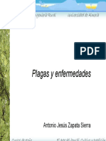 Plagas y Enfermedades PDF