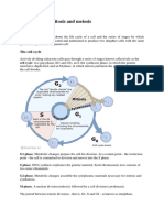 The cell cycle-TRF.pdf