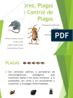 Control Plagas