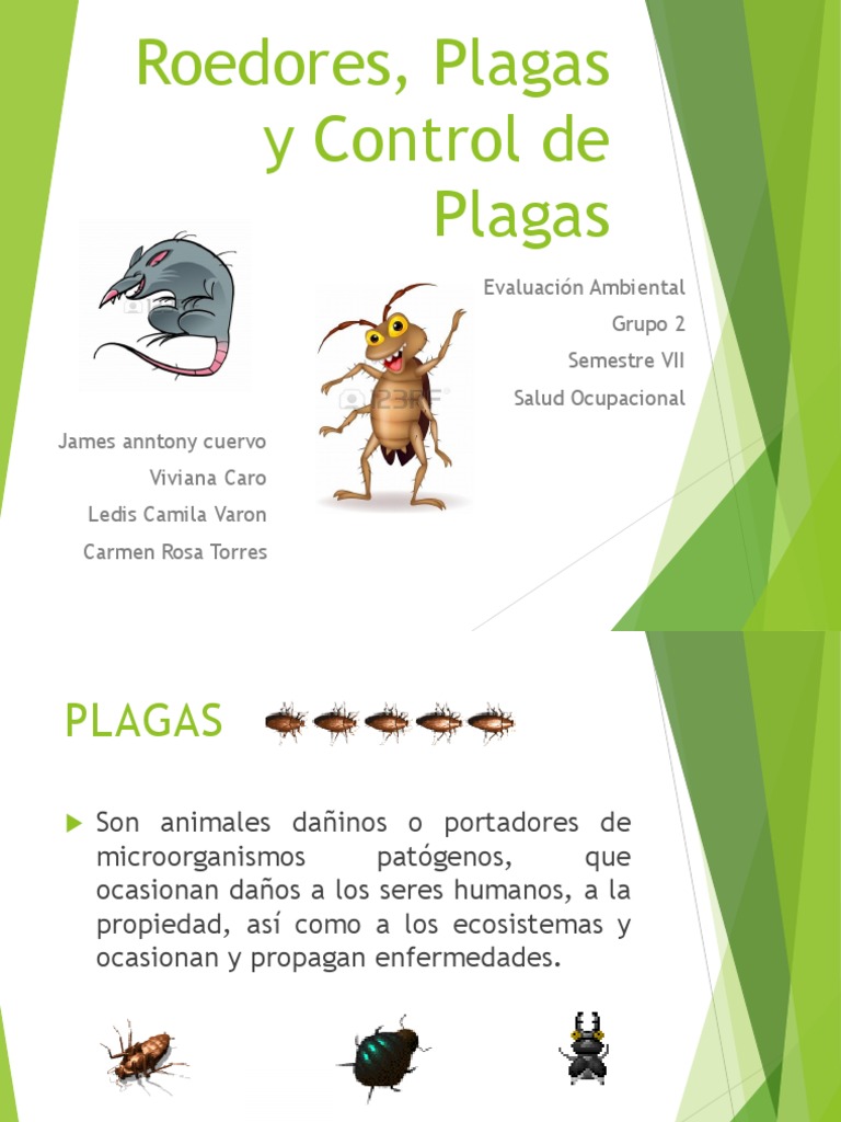 Control de Plagas y Salud Pública | PDF | Roedor | Plaga (organismo)