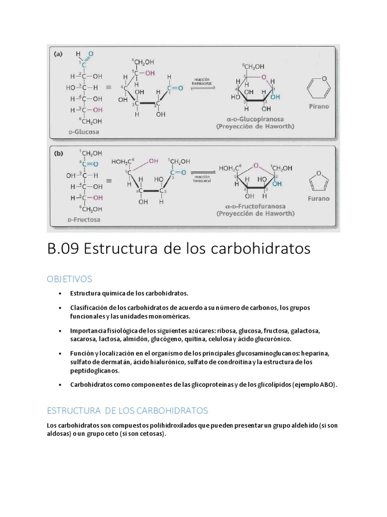 B.09 Estructura de Los Carbohidratos | PDF | Carbohidratos | Glucosa