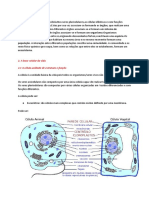 Cópia de Resumo de Biologia 10ºano