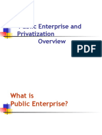 Public Enterprise and Privatization