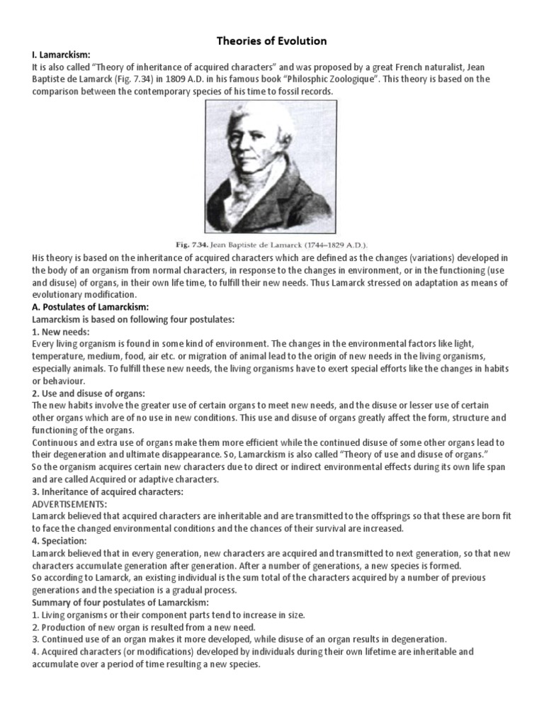 Theories of Evolution | PDF | Natural Selection | Mutation