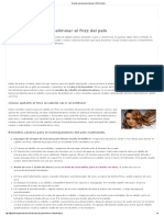 Recetas Caseras para Eliminar El Frizz Del Pelo PDF