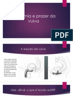 Anatomia da Vulva e Ponto G