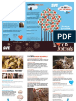 SAFE Leaflet: Love Animals