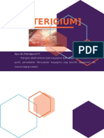 Pamflet Pterigium
