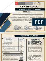 Certificado 2970-DREA-19 B2a8b420