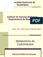 Metabolismo Carbohidratos