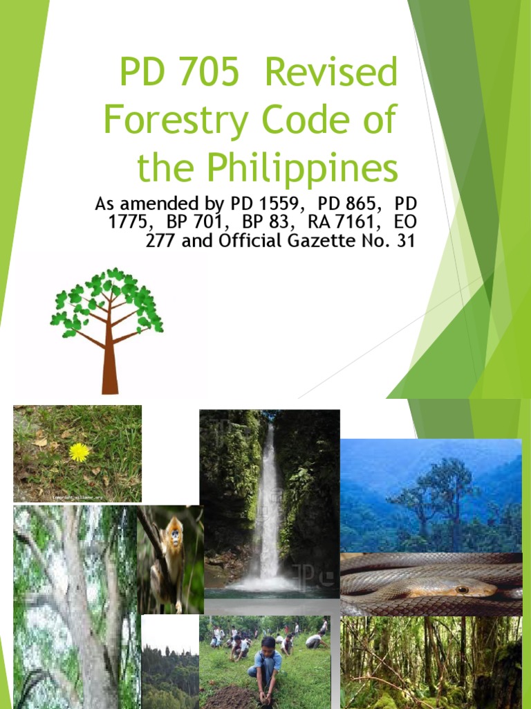 pd-705-revised-forestry-code-of-the-philippines-pdf-logging-forests