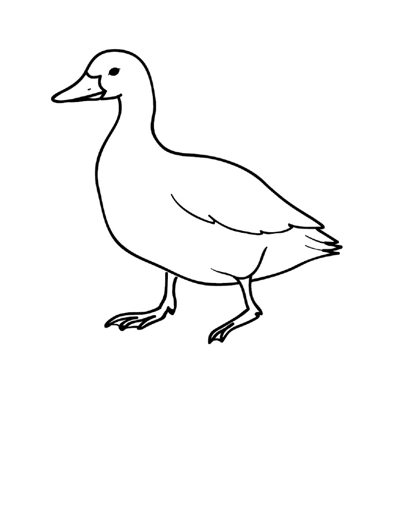 85 Gambar Burung Hitam Putih Untuk Mozaik Gratis Terbaru