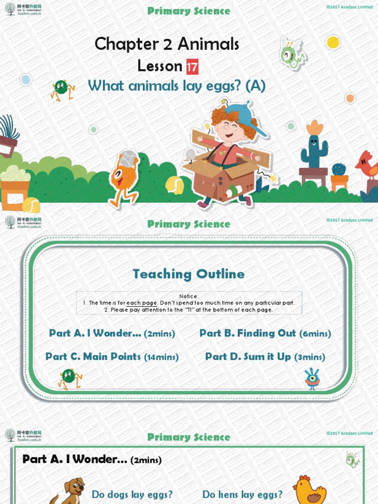 Chapter 2 Animals: Lesson | PDF | Egg | Organisms